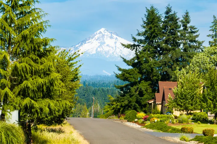 Mountain view behind a landscaped property