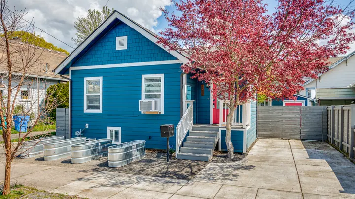 Blue home and spring flowering trees