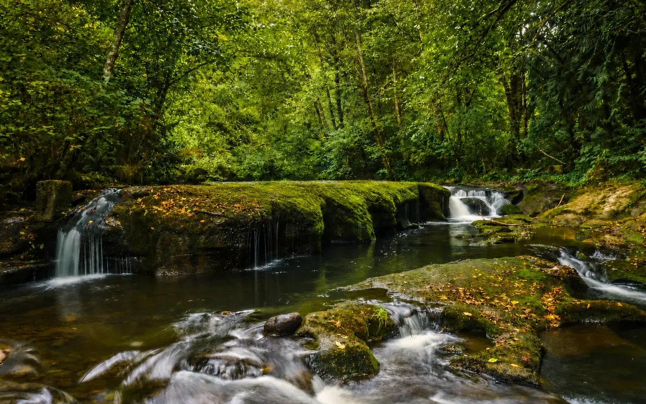 Forest waterfall available as an example of Chris Scheckla's landscape photography